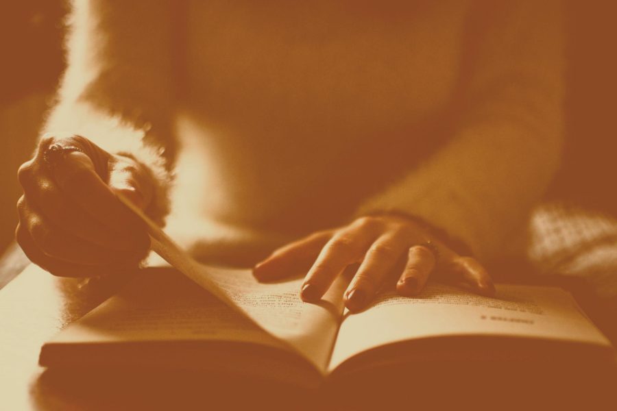 The Food Environment Research group (a collective from Department of Dietetics and Nutrition, School of Public Health and the DSI/NRF Center of Excellence in Food Security) at the University of the Western Cape under the leadership of Prof Rina Swart is seeking two Post-doctoral Research Fellows to work on projects related to the National School Nutrition Programme (NSNP) and Indigenous and Neglected Crops (INC).