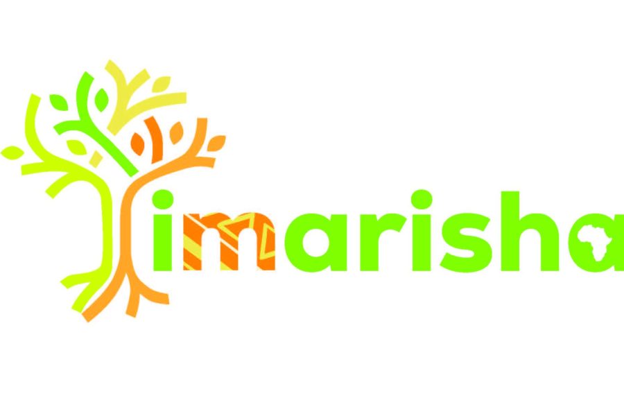 This consortium aims to fill an urgent and widespread gap in understanding and addressing workplace violence and its gendered dimensions experienced by the PHC workforce in three countries— Burkina Faso, South Africa and Tanzania—where high proportions of women work as PHC health workers and have reported high levels of violence. Imarisha is a Swahili word meaning ‘to strengthen’