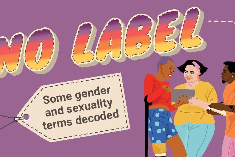 As part of a three year collaborative research project (the “Learning Partnerships to Support Gender Transformative Innovations for Adolescents’ Sexual and Reproductive Health in South Africa”) the School of Public Health, University of the Western Cape, NACOSA and H.O.P.E Africa, in partnership with the Triangle Project, has developed a local gender glossary.