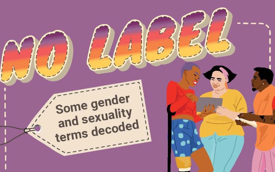 As part of a three year collaborative research project (the “Learning Partnerships to Support Gender Transformative Innovations for Adolescents’ Sexual and Reproductive Health in South Africa”) the School of Public Health, University of the Western Cape, NACOSA and H.O.P.E Africa, in partnership with the Triangle Project, has developed a local gender glossary.