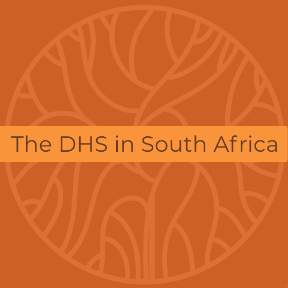 Cover image - The DHS in SA