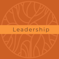 Leadership in South Africa’s DHS requires motivating and coordinating local providers while facilitating whole-of-government and whole-of-society collaboration. Here, we explore how to strengthen and conceptualise leadership without exercising traditional command-and-control managerial authority.